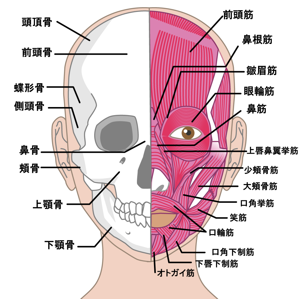 眉毛の上の盛り上がり ぼこぼこ ふくらみ 3つの方法で整形なしで眉美人 50 Funnyface